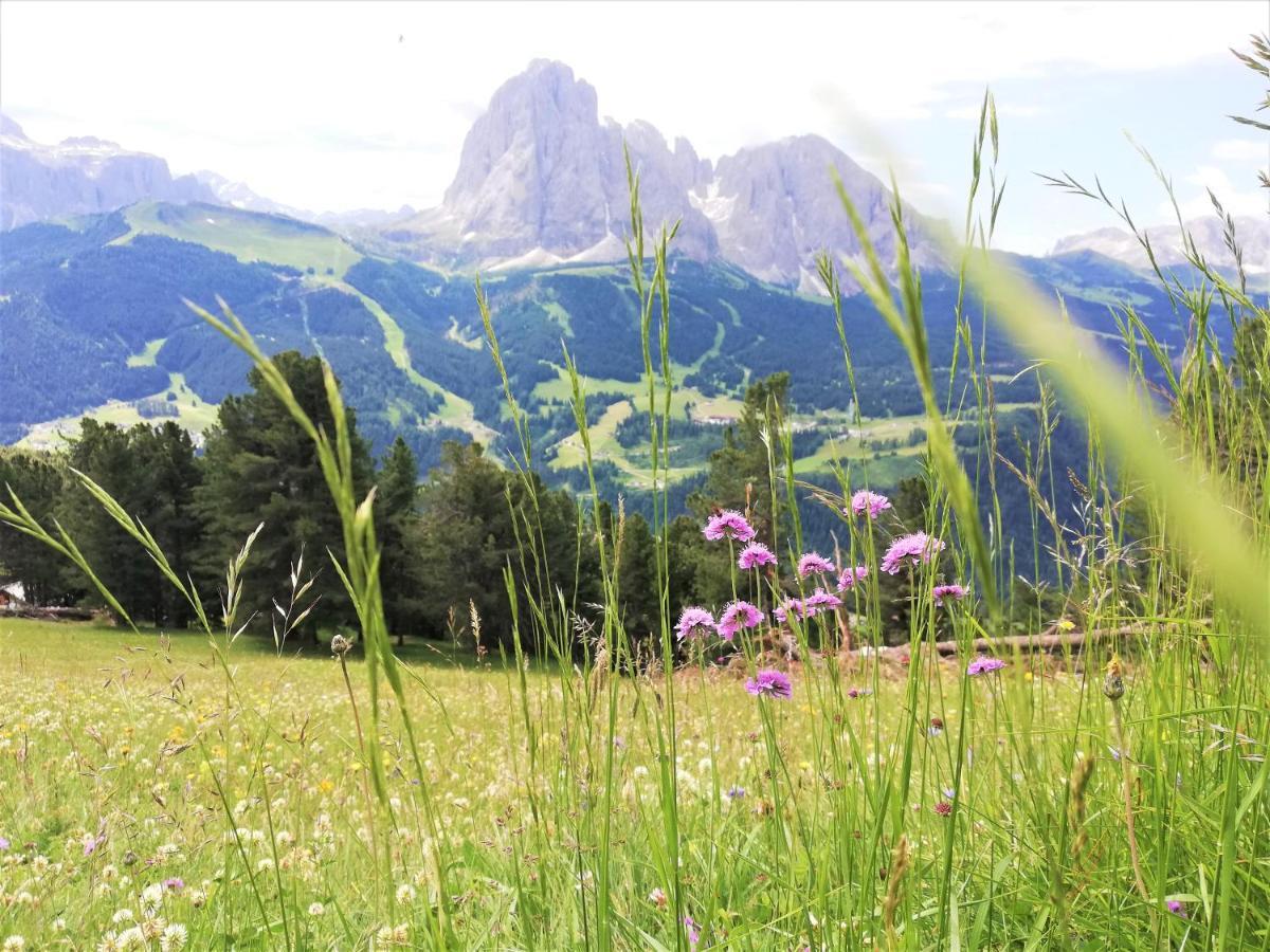 Hotel Oswald Selva di Val Gardena Eksteriør bilde